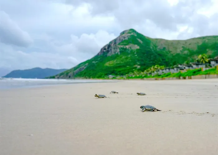 Six Senses Con Dao - Turtle Island Paradise