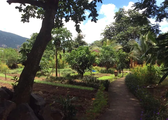 Tan Son Nhat Con Dao Resort